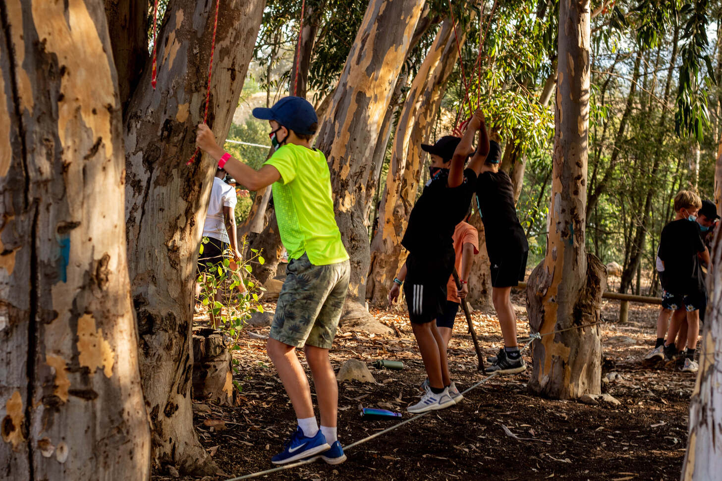 Forest balance challenge